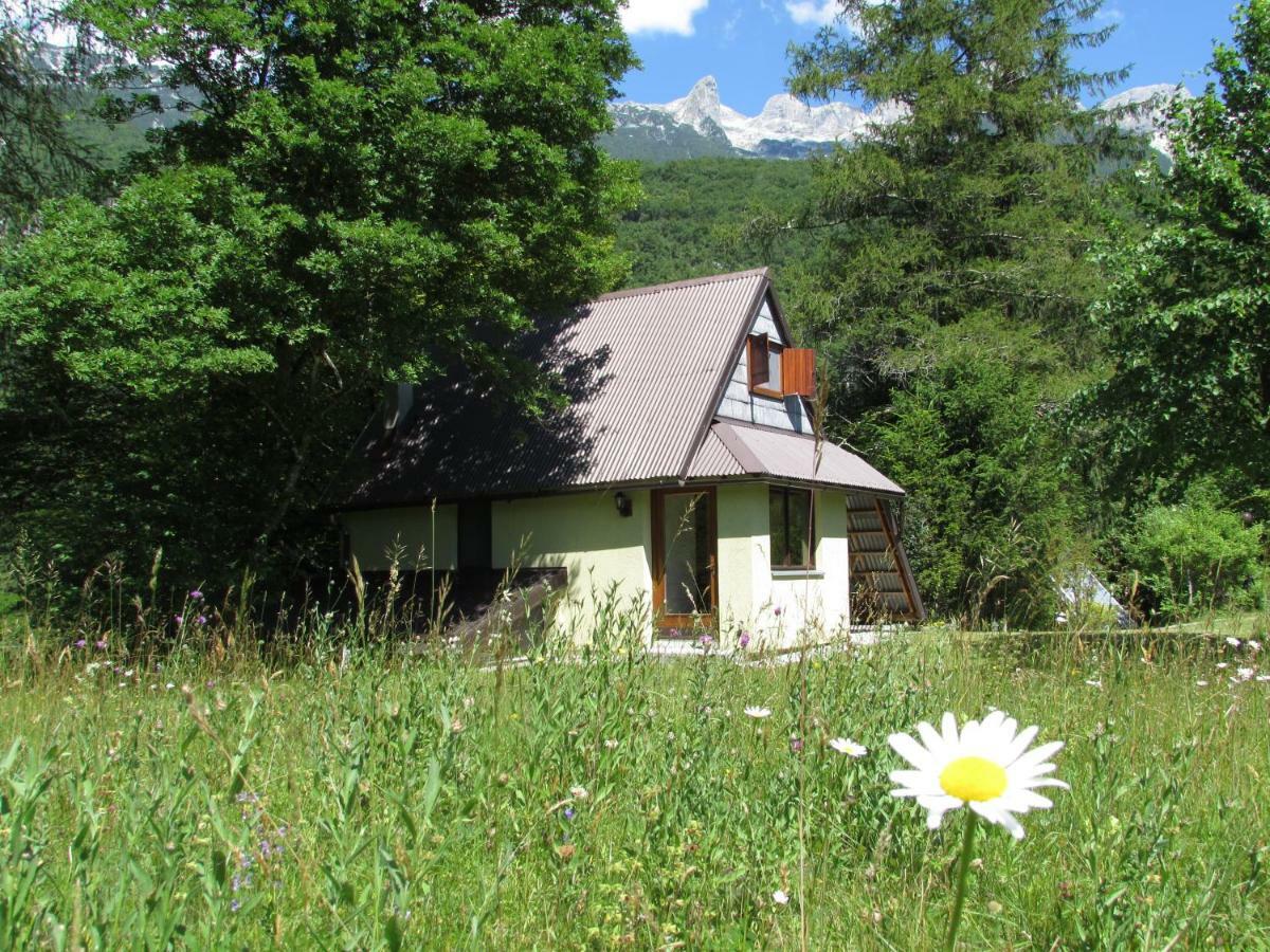 Ferienwohnung Apartma Narnia Bovec Exterior foto